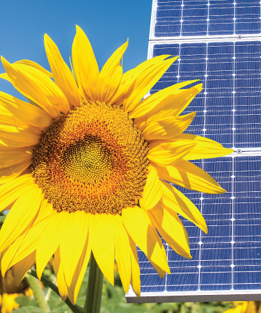 Solar installation rebates